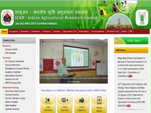 IARI Recruitment 2019 For Young Professional, Research Associate And SRF Through 'Walk-In' Selection