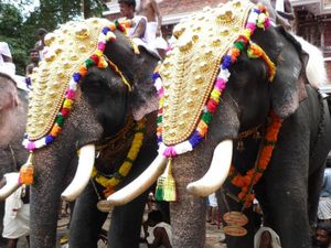 Onam Festival Essay 2021: Why Students Should Include Onam Celebrations In Their Report