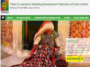 TRIFED Recruitment 2020 For Consultants Post, Apply Offline Before June 14