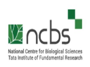 NCBS Recruitment 2020 For Project Assistants And Associates, E-mail Applications Before July 10