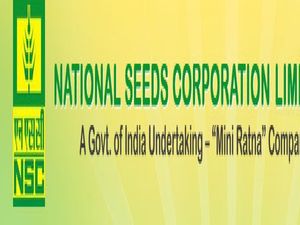 NSCL Recruitment 2020 For 220 Management Trainees, Sr. Trainees, Diploma Trainees And Trainee Mates