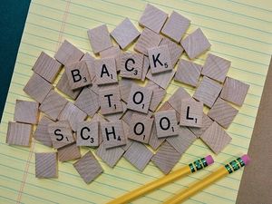Unlock 5.0 Guidelines For Schools And Colleges, Attendance In Schools Not Mandatory  