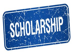 MSCE Scholarship Result 2020: How To Check Maharashtra Scholarship Result 2020