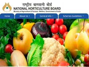 National Horticulture Board Recruitment 2020 For Horticulture Officers, Apply Before November 15