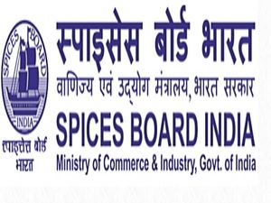 Spices Board Recruitment 2020 For Clerical Assistants Posts, E-mail Applications Before November 13