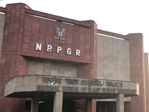 NBPGR Recruitment 2021 For Upper Division Clerks (UDC) Posts Under ICAR, Apply Offline Before February 15