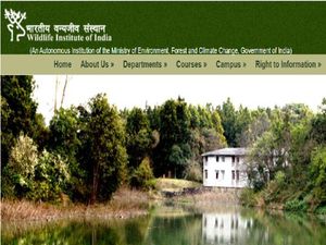 Wildlife Institute Of India Recruitment 2021 For Project Associate And Project Scientist, Apply Before Jan 20