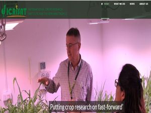 ICRISAT Careers 2021 For Scientific Officers Posts, Apply Online For ICRISAT SO Jobs Before April 5