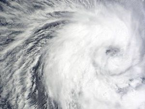 Cyclone Jawad Impact: Schools Shut In Andhra Pradesh And 19 Districts Of Odisha; UGC NET Exam Postponed