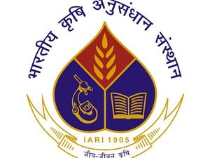 ICAR IARI Admit Card 2022 Released For Technician At iari.res.in, Download T1 Hall Tickets Here