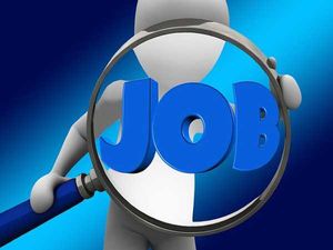 BIS Recruitment 2022 For 337 JSA, SSA, Steno And Other Posts, Apply Online At bis.gov.in Before May 9