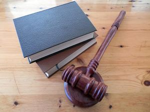  All About The Types of Bills In Indian Parliament And The Process of Enacting As Laws