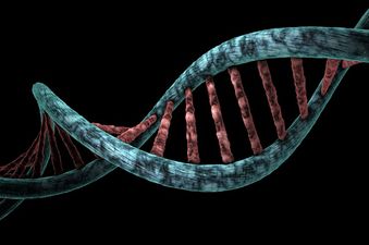 All About DNA & Salient Features of DNA Technology Regulation Bill, 2019