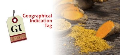 What is GI Tag? List Of GI Tags OF India In 2022