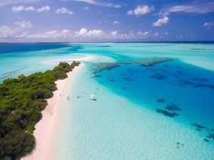 World Oceans Day 2023: History, Significance And Amazing Facts to Know About Oceans