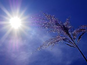 Climate Change Is More Than Visible Now- The Heatwaves In Europe