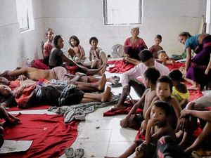 World Mosquito Day 2022: History, Significance and Facts 