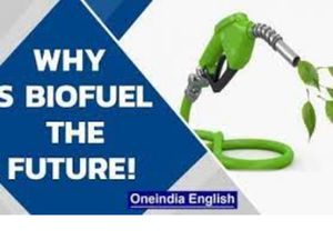 World Biofuel Day: Significance of Biofuels as an Alternative to Fossil Fuels 