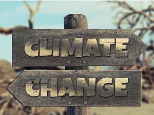 World Ozone Day 2022: History, Significance, Theme, How to Celebrate, and More