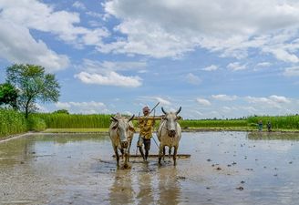 Every 2 hours, 1 Agricultural Labourer Is Suiciding In India, NCRB Reports