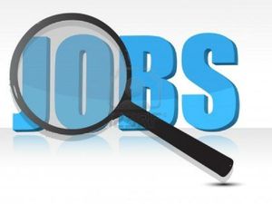 HPPSC CBT 2022 Exam Schedule/Admit Card update for Computer Programmer and Manager posts released