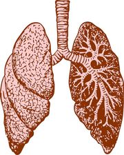 On World Lung Day, Alkem Laboratories pledge to spread awareness about lung diseases through its initiative 'T