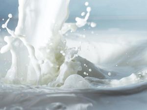  International Dairy Federation World Dairy Summit: A Sector in Need of Digital technology solutions 