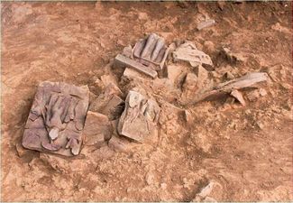 ASI explores Bandhavgarh after 84 years, finds Buddhist remains, inscriptions bearing 'Mathura'