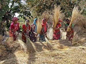 International Day of Rural Woman: To Empower and Celebrate the Rural Women 