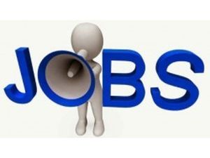 321 Vacancies in AMD for JTO, ASO and Others: Full Details Below