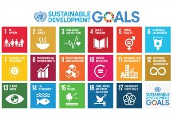 Sustainable Development Goals (SDGs): List of Goals, Initiatives, Indicators & more