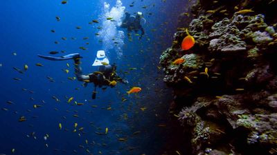 Career Opportunities in Oceanography: Courses, Admission, Employment, and Salary