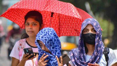 Explainer: What is Heat Wave? Impacts on India