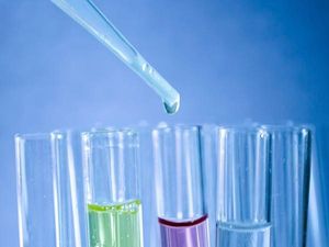Career Path in Organic Chemistry