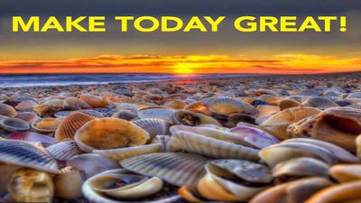 What makes seashells sound like the sea?