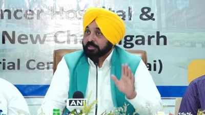 According to Punjab CM Mann, 29,946 State Government Jobs Have Been Given So far in Punjab