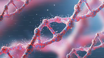 Why Indian Students Choose to Study Biomedical Sciences Abroad?