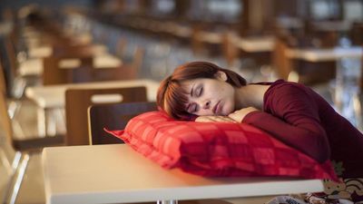 What Happens When We Sleep?