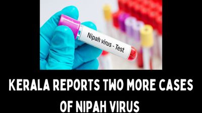 Nipah Virus: Schools, Colleges Shut Till September 24 in Kozhikode, Kerala on Alert
