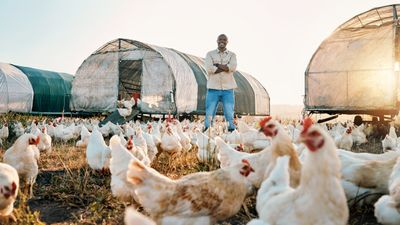 Not Just Farming: 8 Upcoming (and Promising) Agriculture Careers