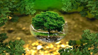 National Energy Conservation Day 2023; History, Significance and more