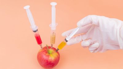 Unveiling the Rapid Growth of Indias Food Science Industry