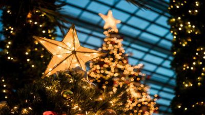 Christmas Day Speech in English For Students