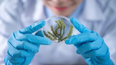 Year Ender 2023: List of Discoveries in 2023