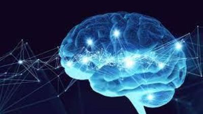 Shape Your Future with a Career in Cognitive Neuroscience