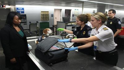 International Customs Day 2024; History, Significance and more