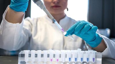 International Day of Women and Girls in Science 2024