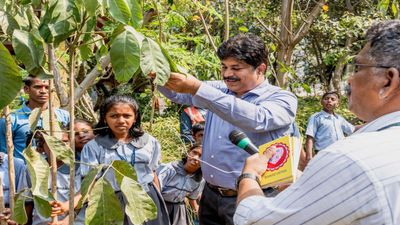 Tree Plantation Drive at Mindspace Business Parks
