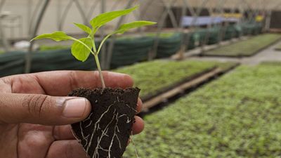 Best Career Options in Biotechnology and Expected Salaries