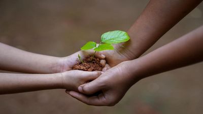 World Environment Day 2024: What Are 5 Ways To Protect Environment